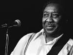 Muddy Waters